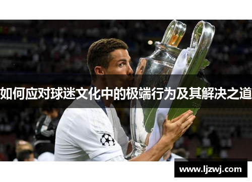 如何应对球迷文化中的极端行为及其解决之道