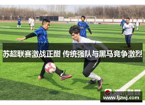 苏超联赛激战正酣 传统强队与黑马竞争激烈